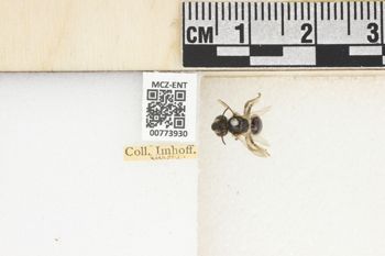 Media type: image;   Entomology 773930 Aspect: Labels